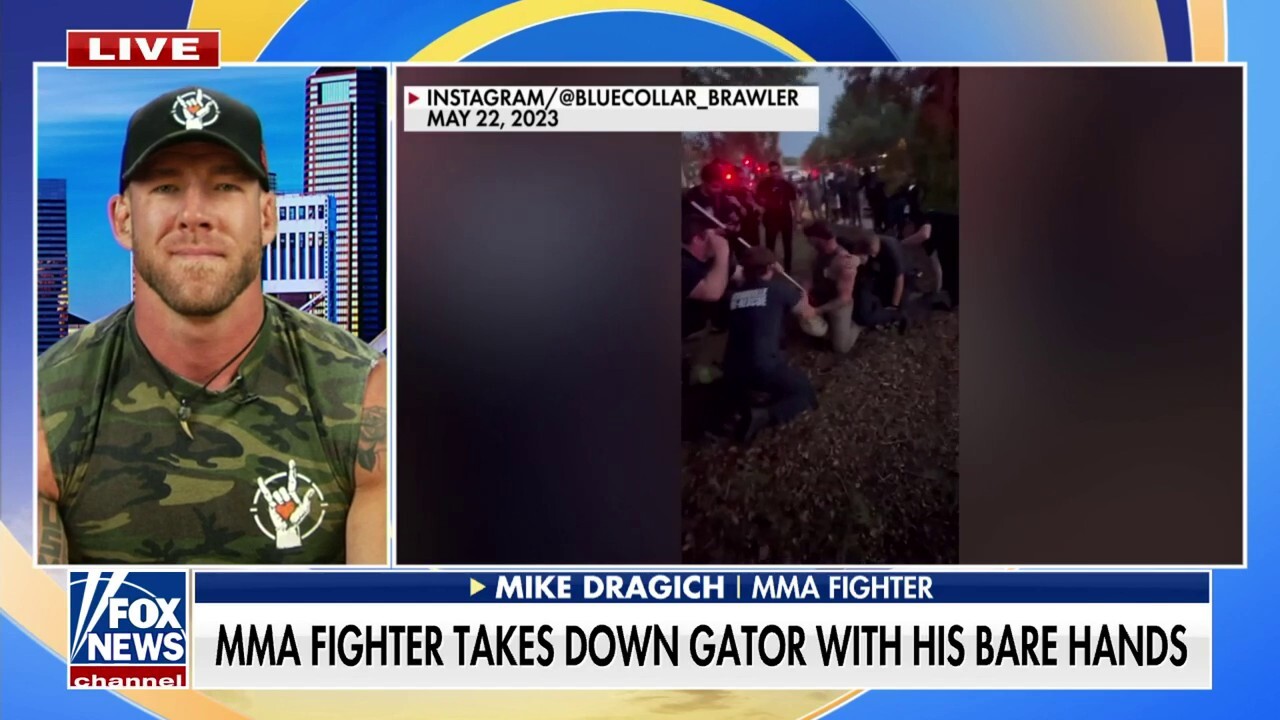 MMA fighter takes down alligator in Florida