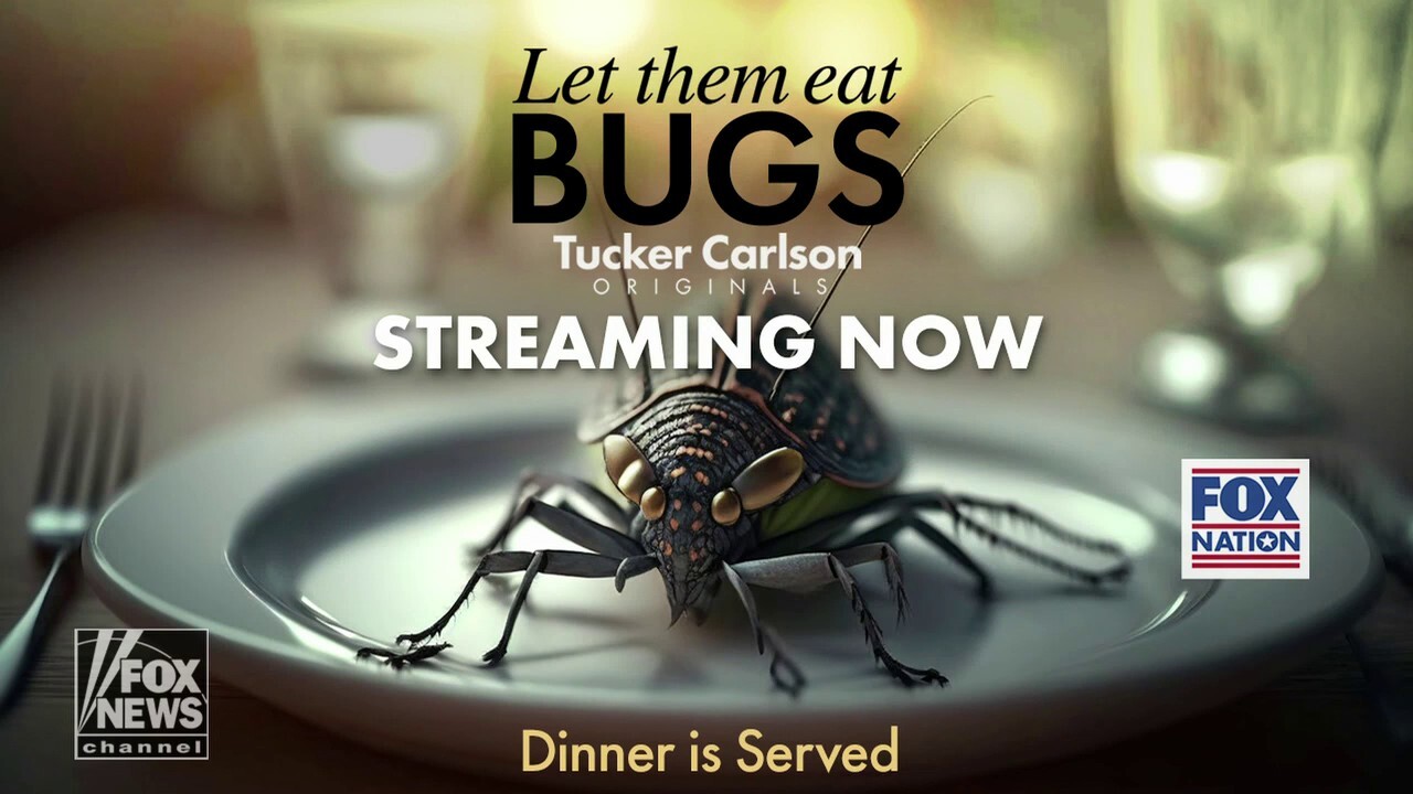  'Tucker Carlson Originals: Let Them Eat Bugs' explores push to eat insects