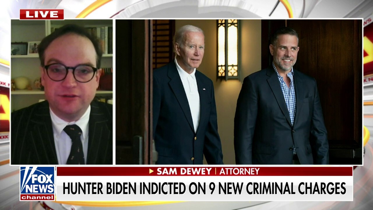 Hunter Biden facing 9 new criminal charges 