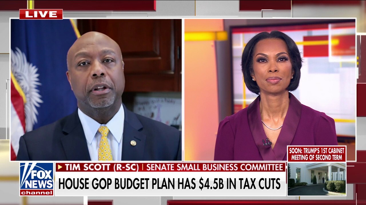 Tim Scott touts Trump tax cuts, says DOGE refund checks could happen