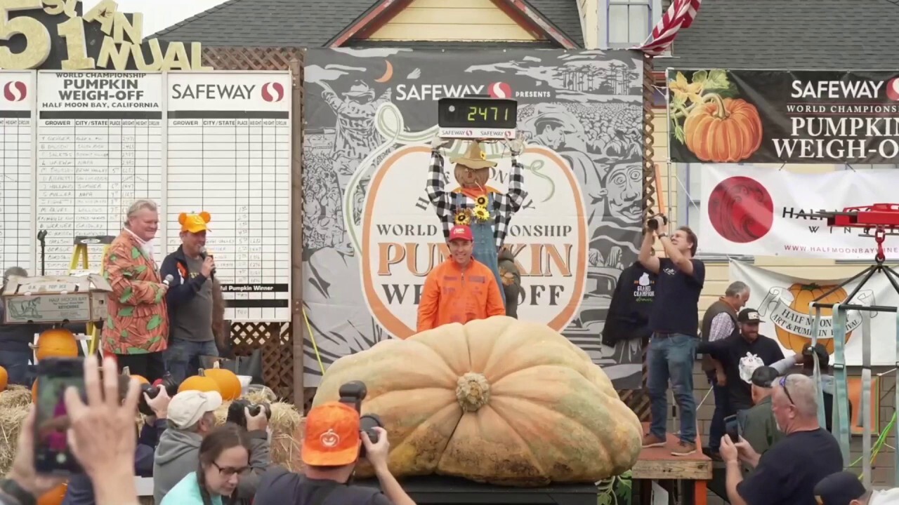 Pumpkin weigh-off gives world record holder another victory