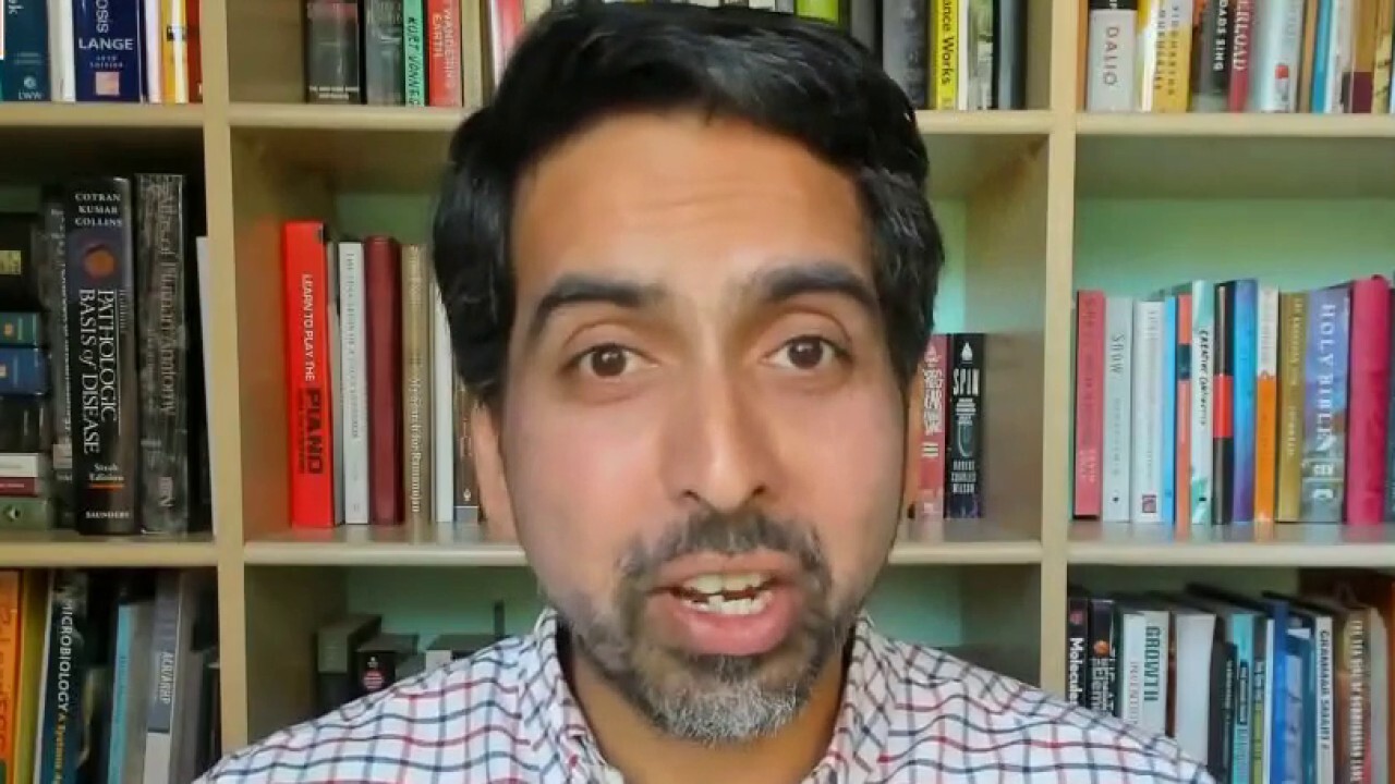 sal khan videos