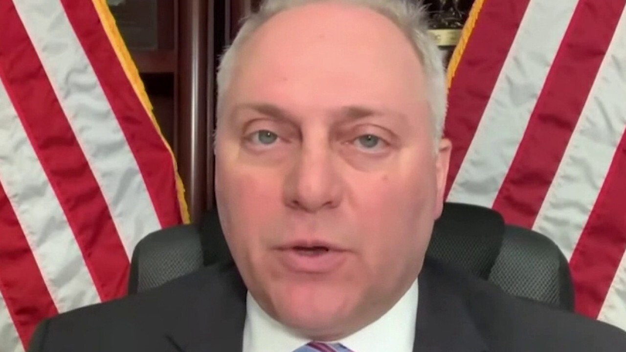 Scalise blasts Big Tech crackdowns: 'These aren't mistakes'