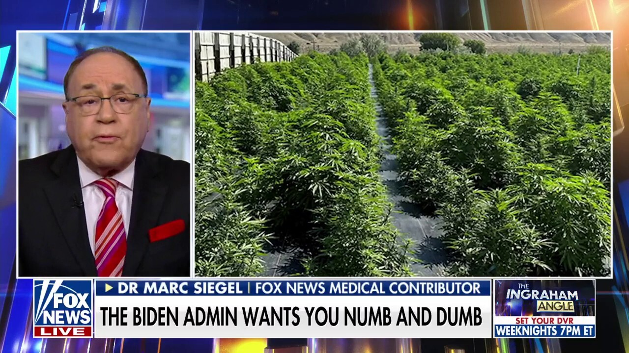 Fox News medical contributor Dr. Marc Siegel weighs in on the White House moving to re-classify marijuana as a less dangerous drug on 'The Ingraham Angle.' 