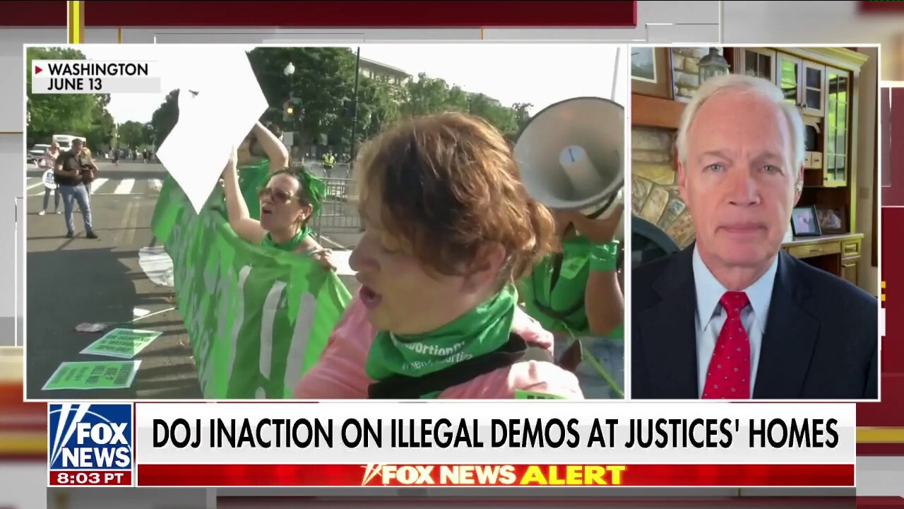 Sen. Johnson rips Democrats, media over protests at Supreme Court justices' homes: 'Complete double standard'