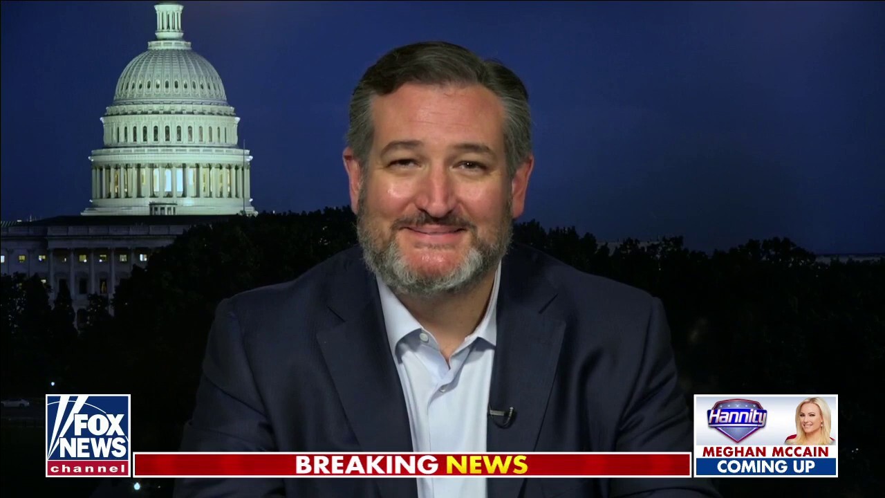 Ted Cruz: Biden promised the radical, open-border left they won’t enforce the law