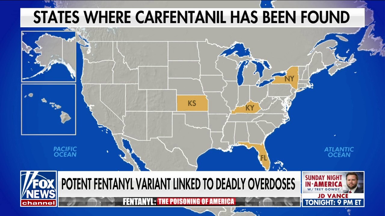 Carfentanil begins to turn up on the streets of NYC