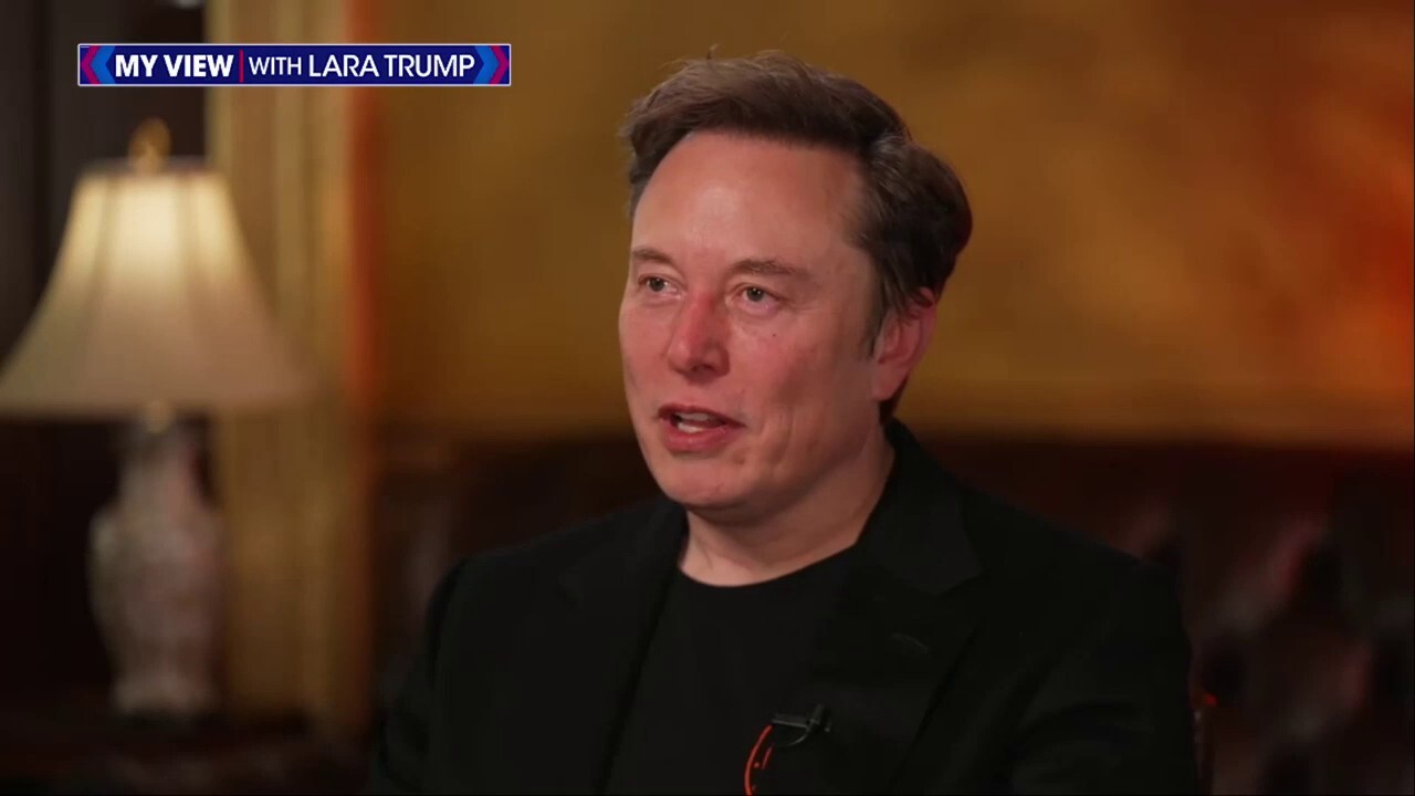 DOGE leading figure Elon Musk discusses his friendship with President Donald Trump on ‘My View with Lara Trump,’ airing Saturday.