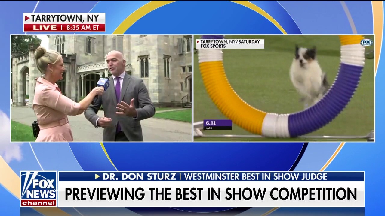 Westminster Kennel Club Dog show judge previews final night of competition