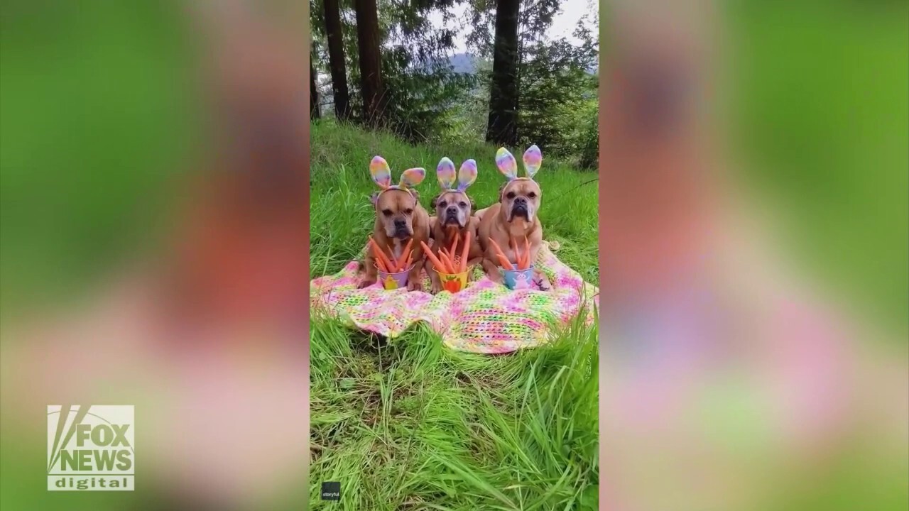 Великденският заек учи децата на „истинското значение“ на Великден в нова книга с фокус върху вярата