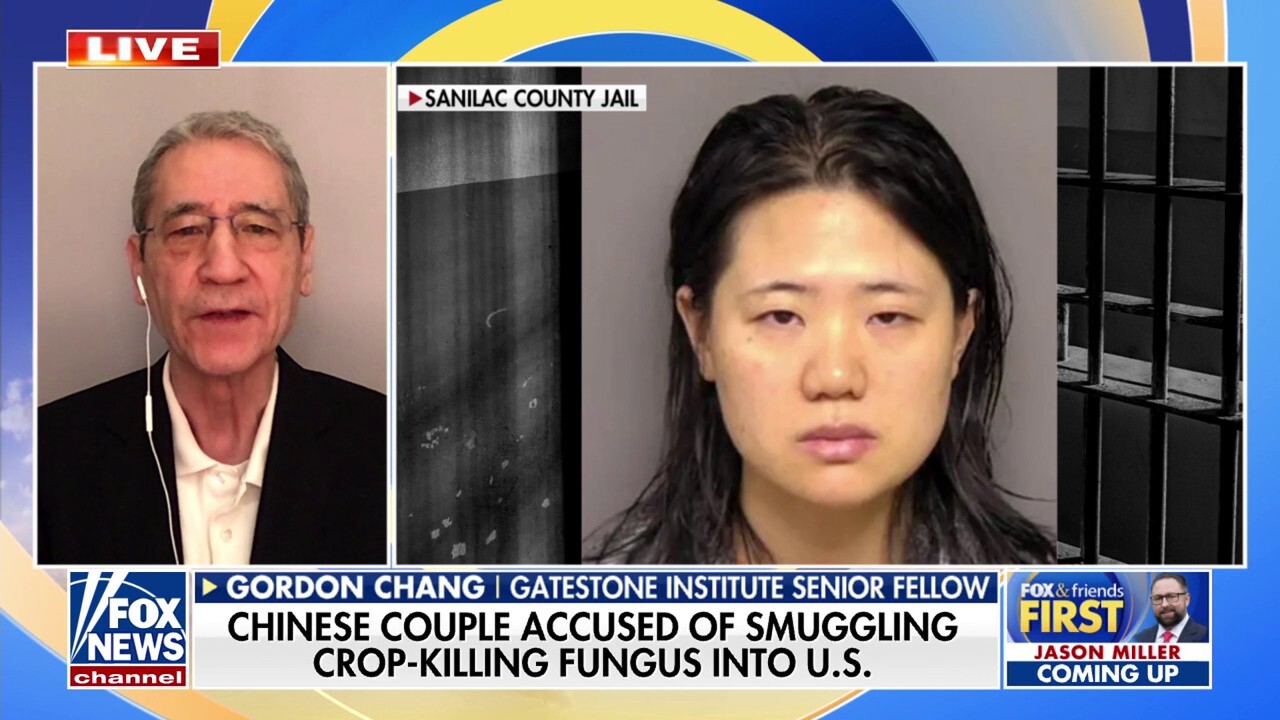 Gordon Chang issues stark warning after Chinese nationals accused of smuggling crop-killing fungus into US: 'This has to stop'