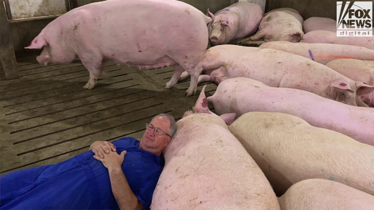 California law upheld by SCOTUS will ruin pork farmers’ businesses: Dwight Mogler
