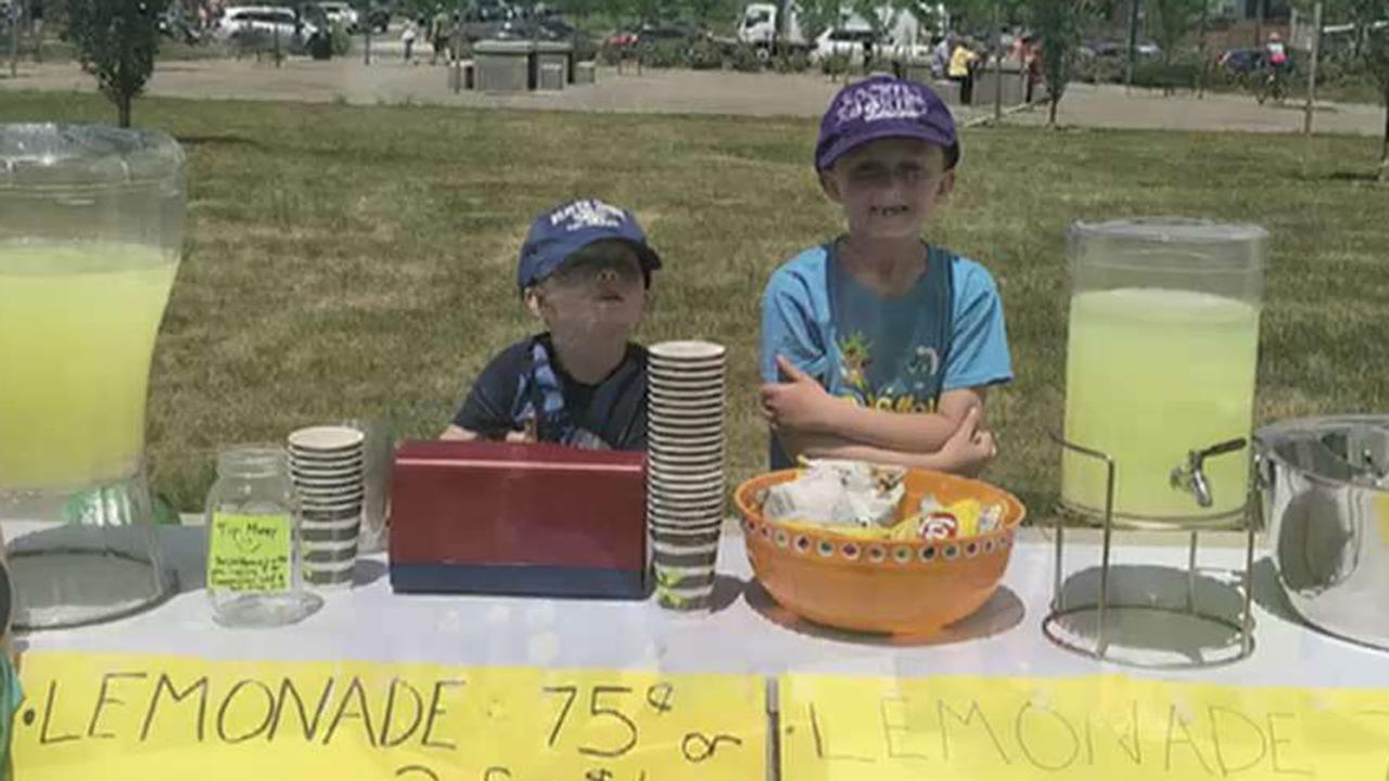 Adults fight for the right to have lemonade stands