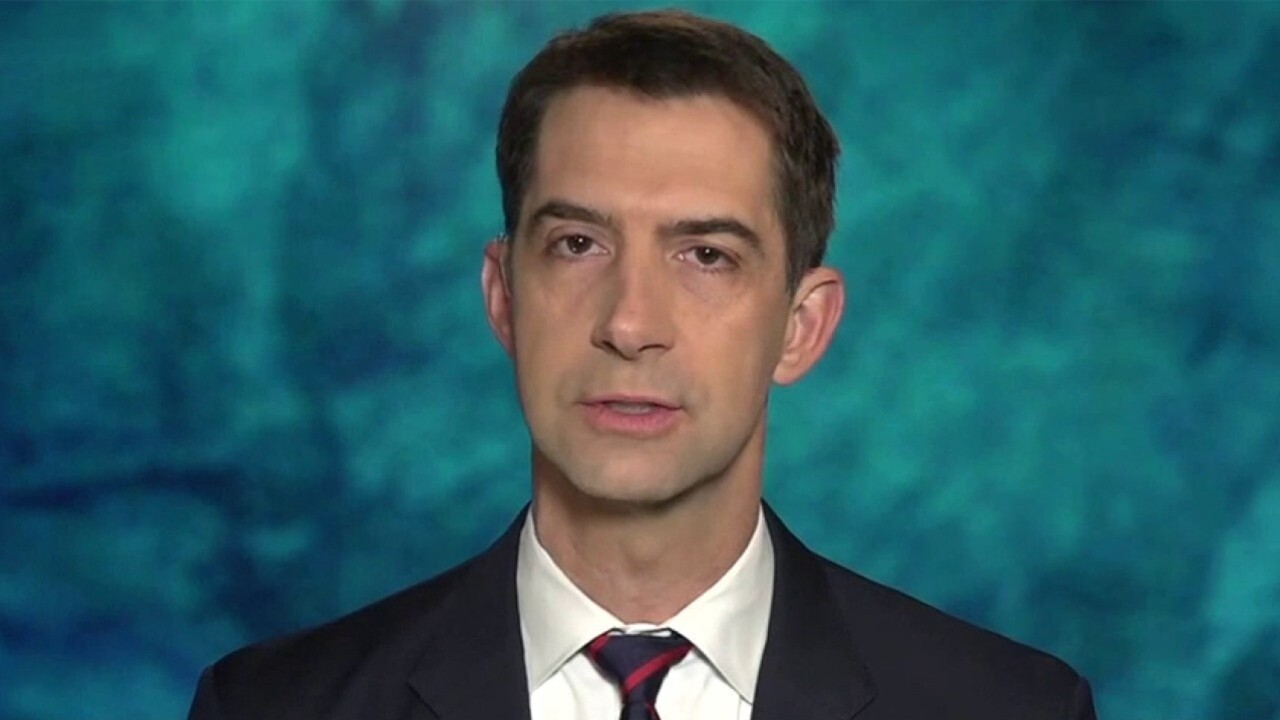 Tom Cotton saw 'heartbreaking scenes,' 'absolute crisis' at border facilities
