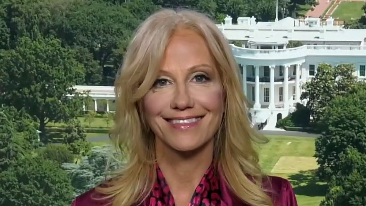 Kellyanne Conway on Bolton allegations: These books are never fact-checked	