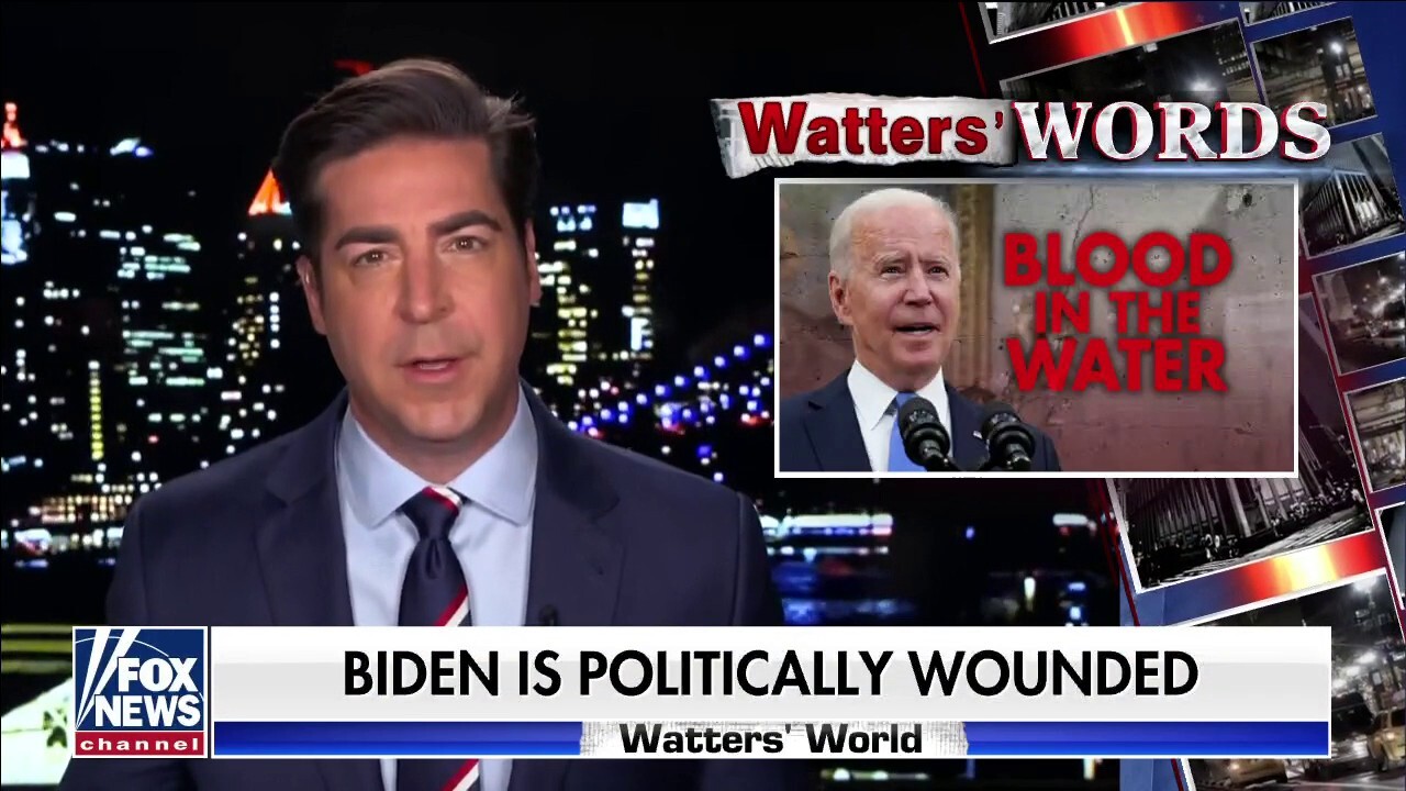 Jesse Watters: Biden is politically wounded
