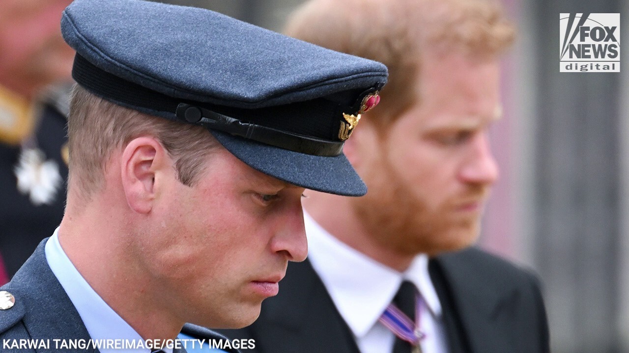 Nick Bolen Says Prince William Prince Harry Made The Right Decision Not Watching Princess