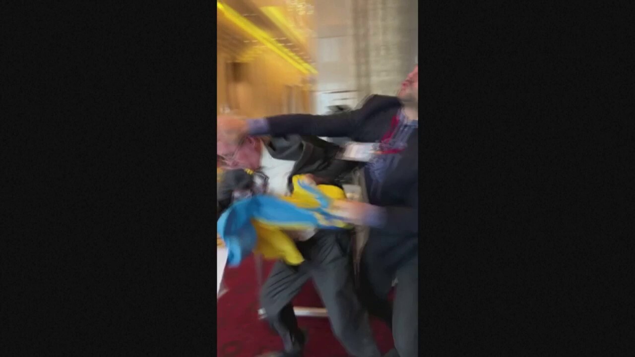 Ukrainian delegate punches Russian official after photobomb attempt