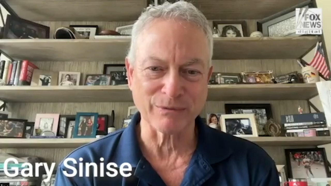 Gary Sinise discovered late son’s unreleased music after his death 