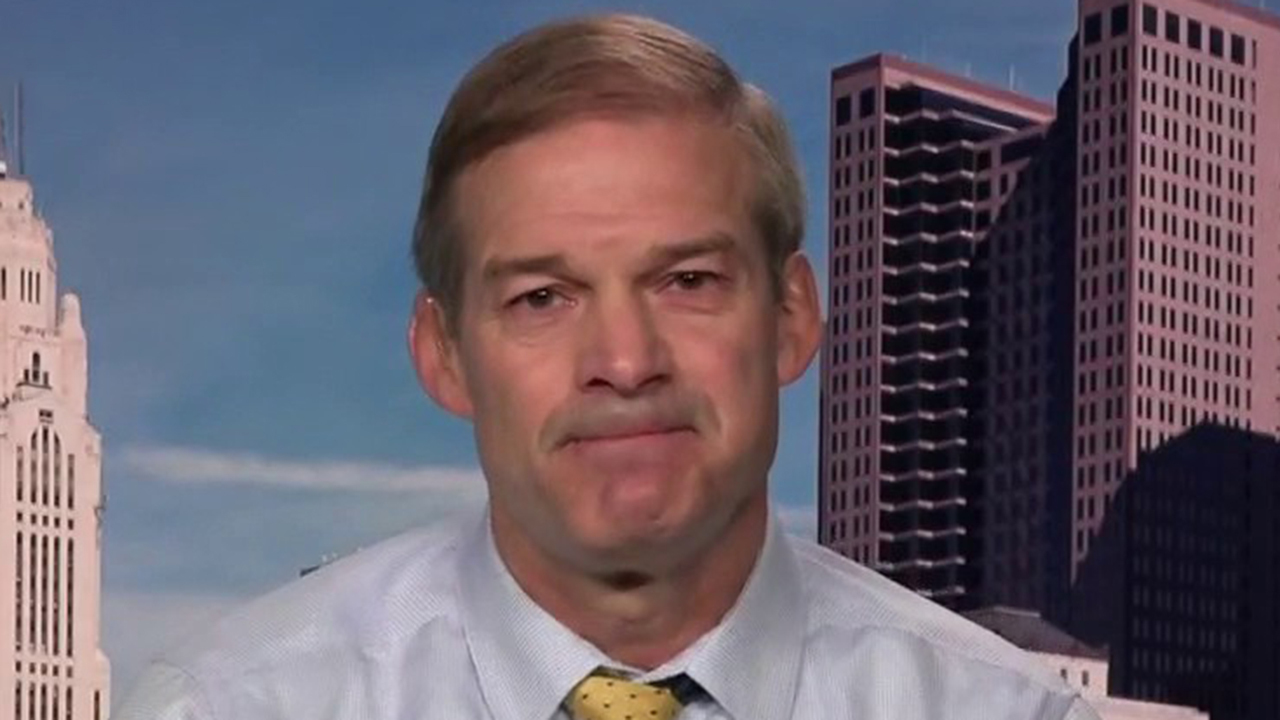 Rep. Jordan says Biden has already gone far left, too late for Kasich's appeal to undecided Republicans
