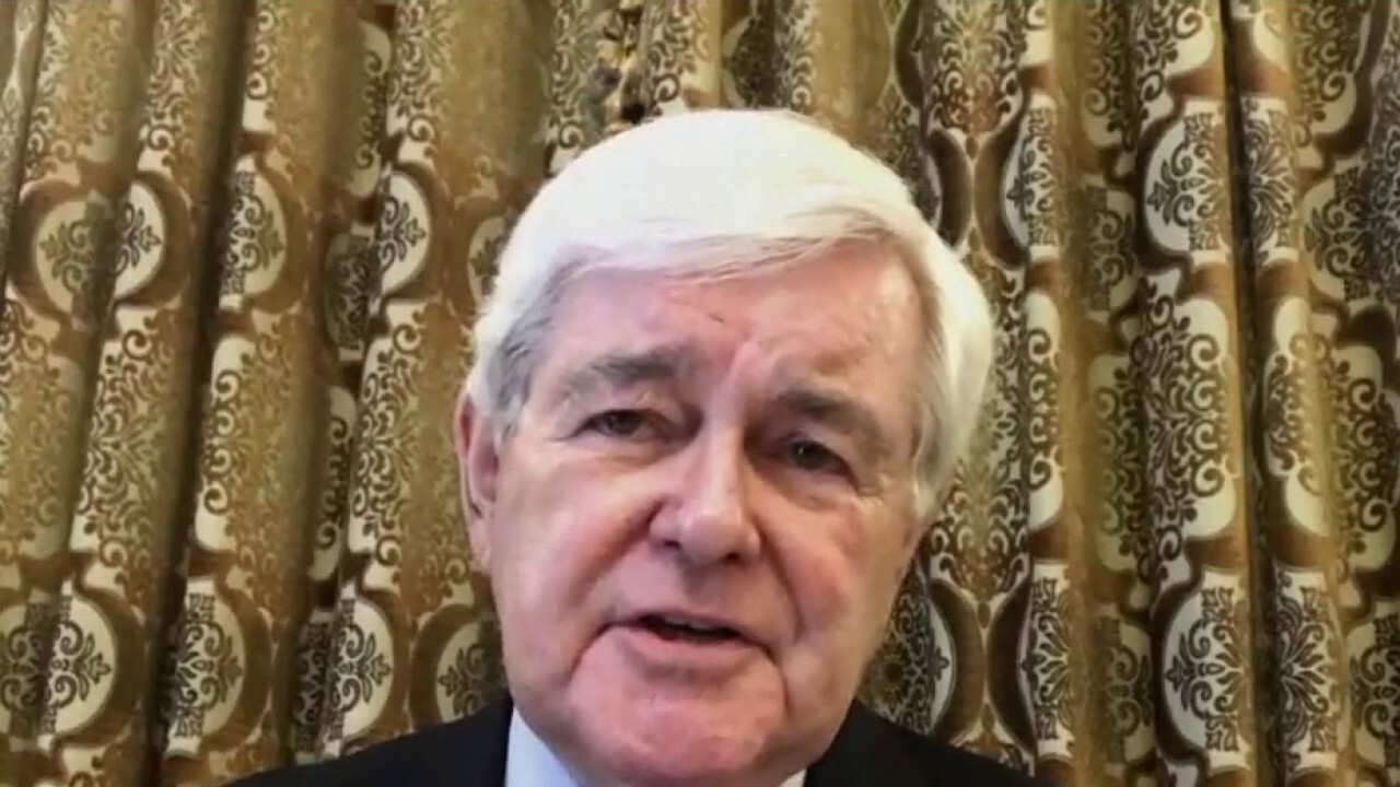 Newt Gingrich: Must prepare for COVID-19 'second wave'