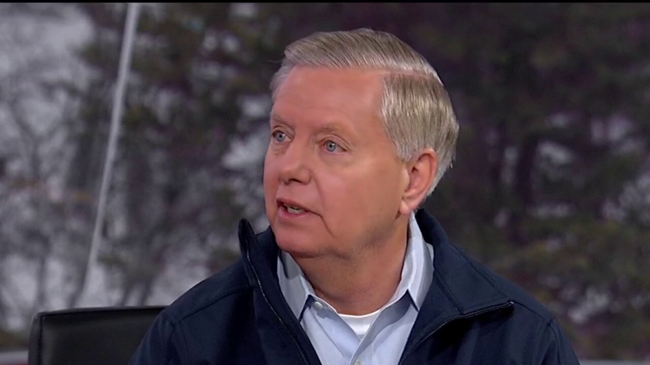 Sen Lindsey Graham Hits Back At Cnn Guest Over Vindman Fox News Video