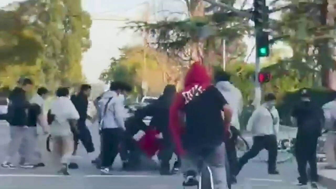 Mob of teen bicyclists attack man in broad daylight in Los Angeles