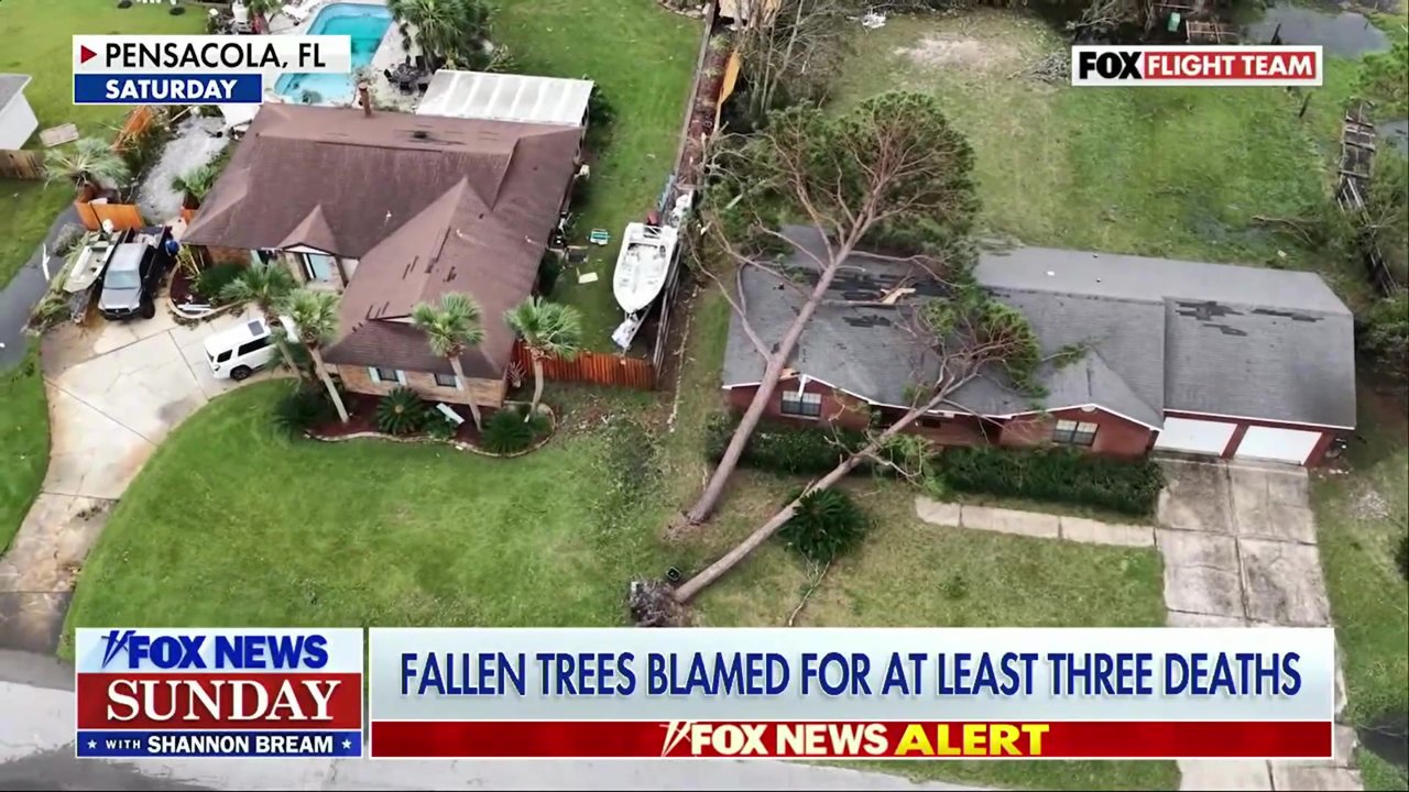 Fallen trees blamed for at least 3 deaths during Hurricane Isaias