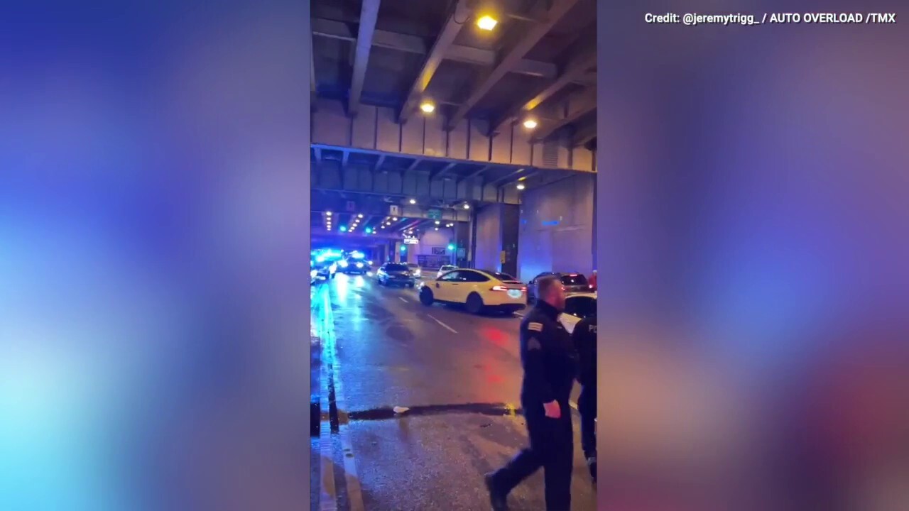 Flash mob attacks Tesla in Chicago streets causing the car to speed into surrounding vehicles