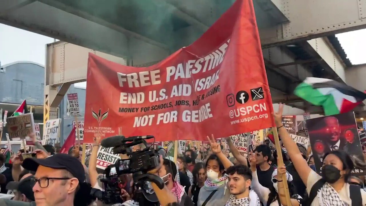 Chicago DNC Night 4: Anti-Israel agitators take to the streets as Kamala Harris set to address supporters