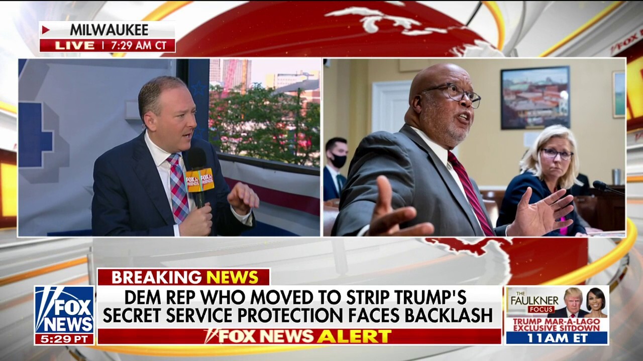 Trump surrogate Lee Zeldin joined 'Fox & Friends' to discuss a Democratic staffer who was fired after an inappropriate post following the Trump assassination attempt and his reaction to former Democratic lawmakers urging Biden to step aside.