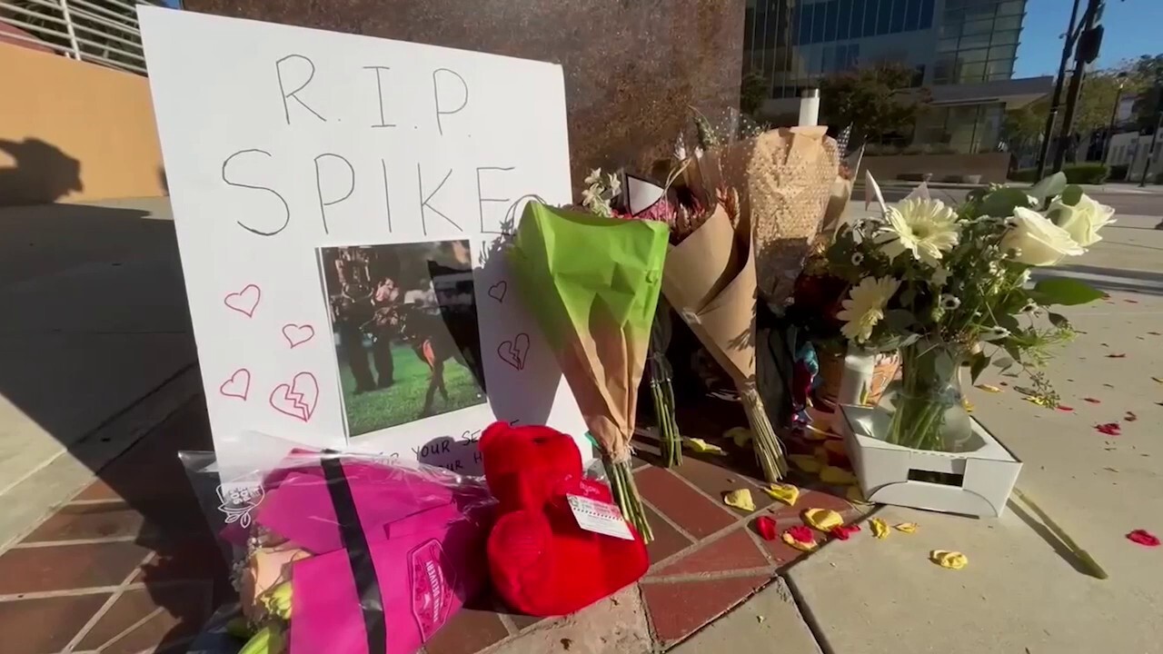 Community mourns K9 killed by illegal immigrant