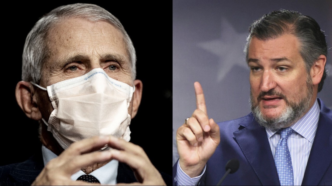 Fauci is the most dangerous bureaucrat in American history: Ted Cruz