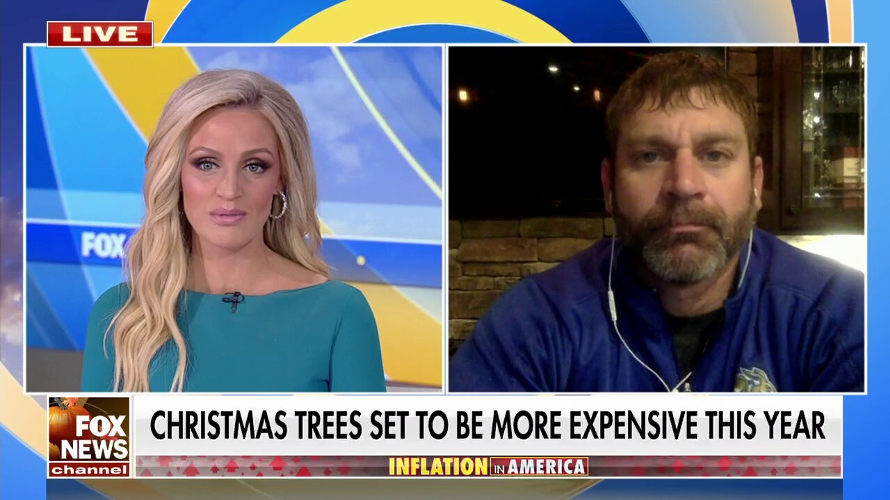 Inflation impacting price of Christmas trees as cost of fuel, fertilizer soars