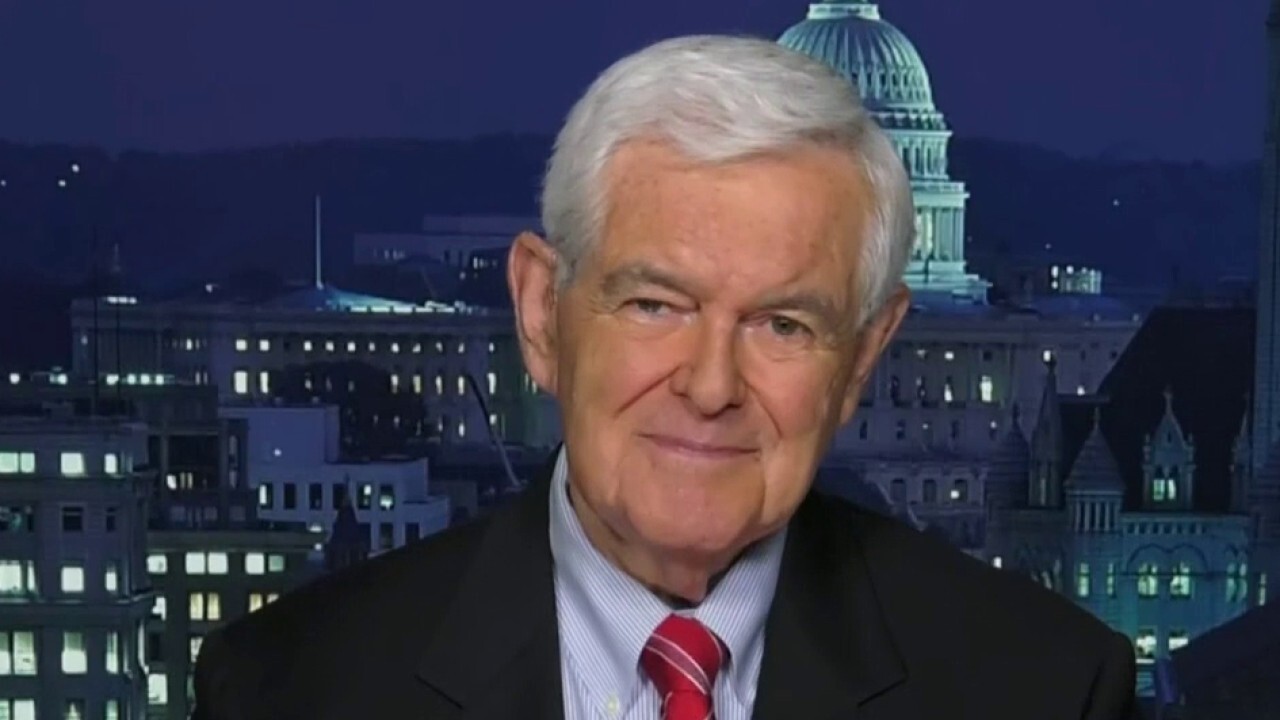 Gingrich rips the left for creating ‘fantasy world’ to push ‘socialist’ agenda