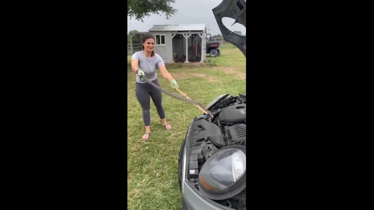 Nicole Graham removes a snake from her daughter's car in Burton, Texas (Courtesy of Nicole Graham)