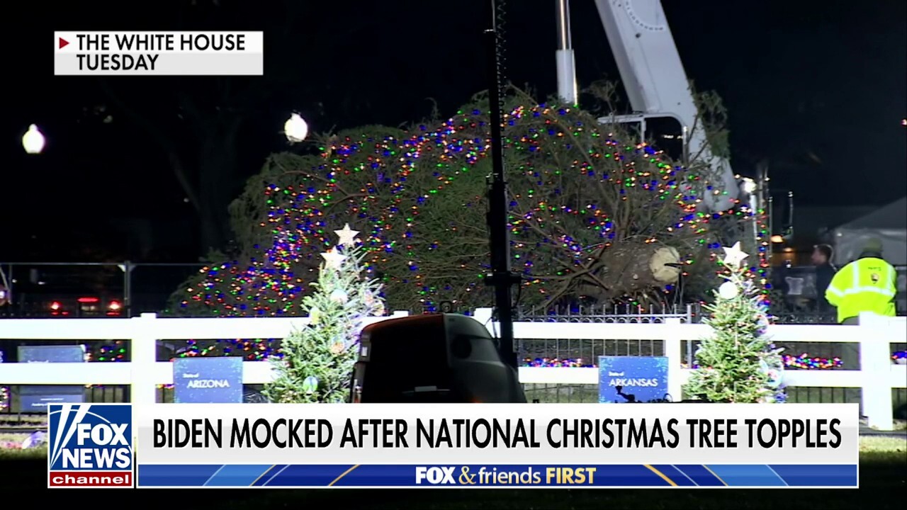 Biden mocked after White House Christmas tree tumbles