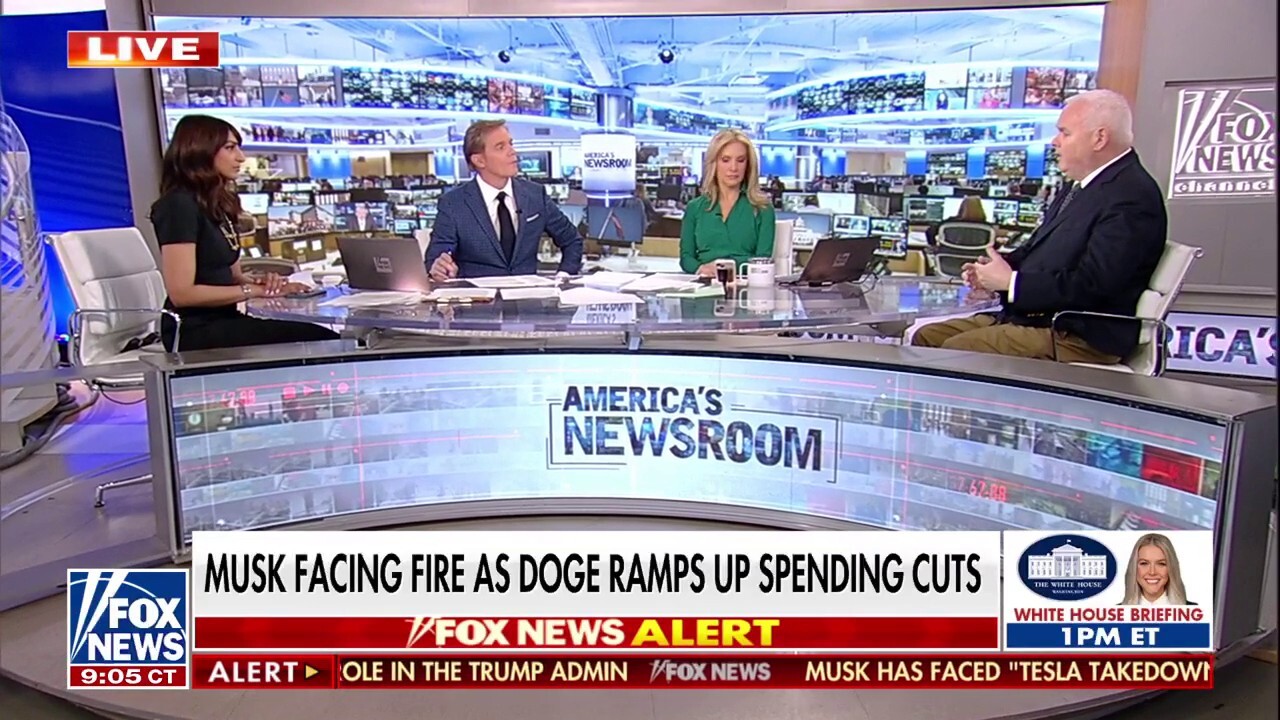 Democrats oppose DOGE’s efforts to cut government spending