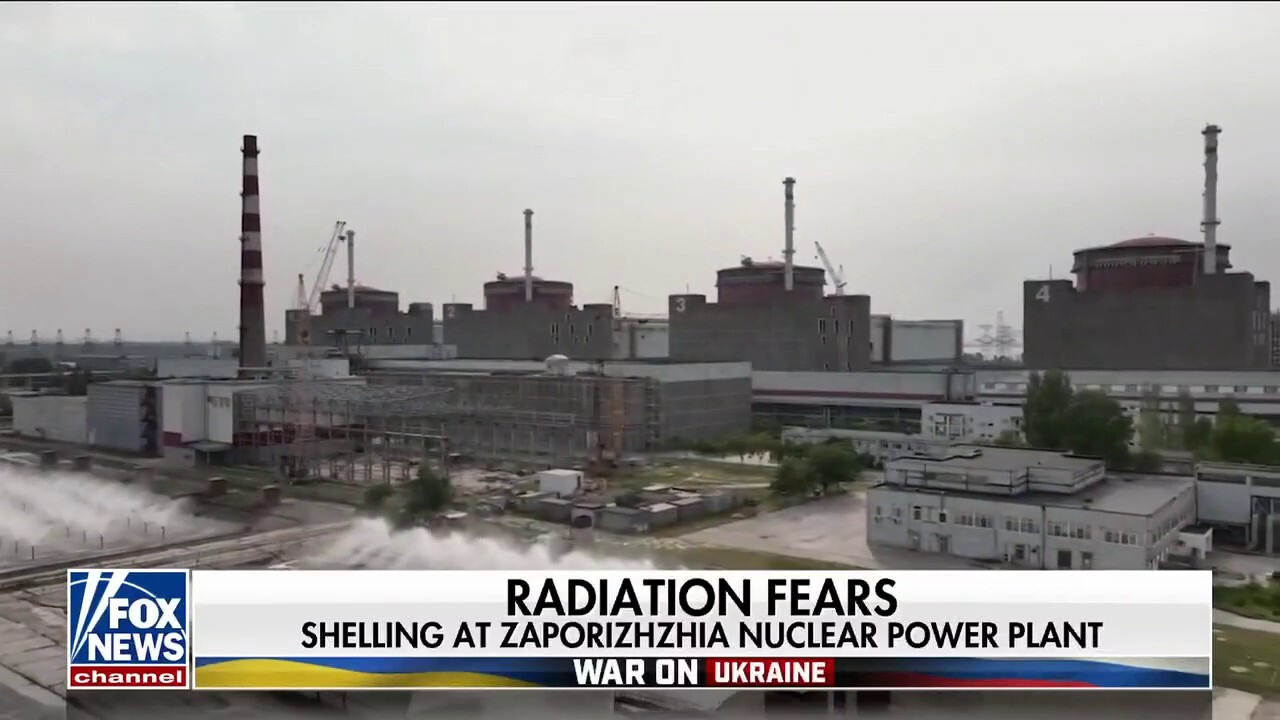 Damage at Ukrainian power plant prompts fears over potential nuclear disaster