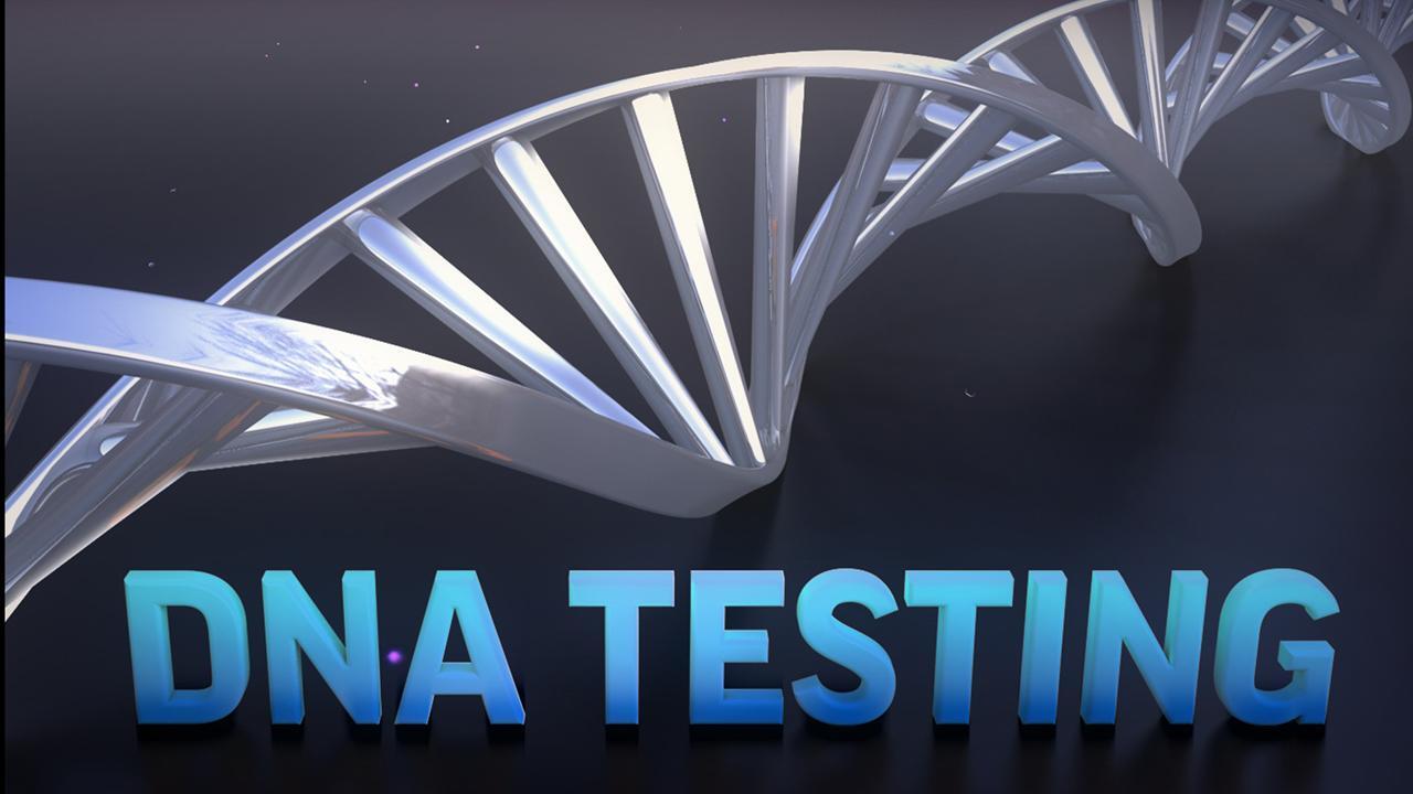 DNA testing helps to identify soldiers lost at war