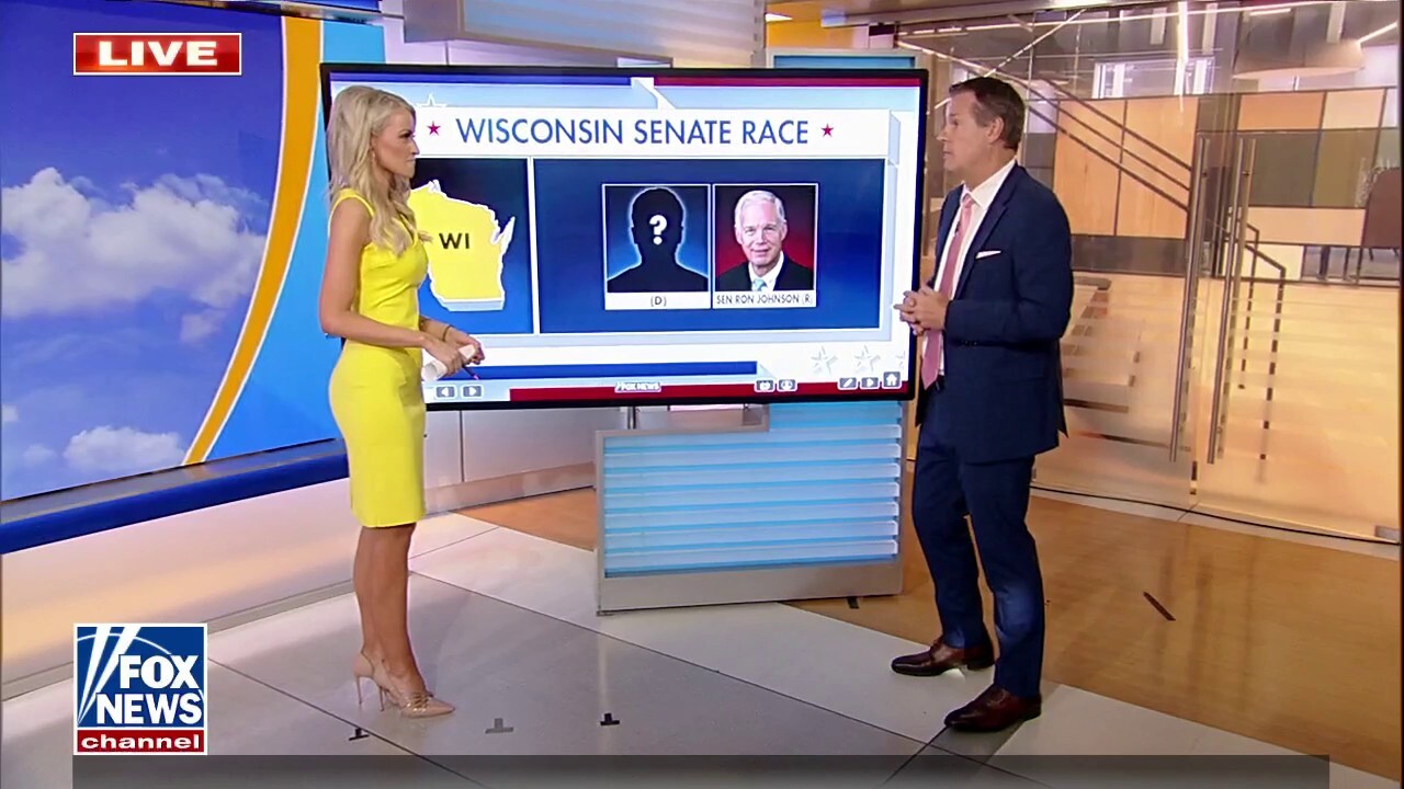 Republicans are going to pick up the Senate: Political strategist