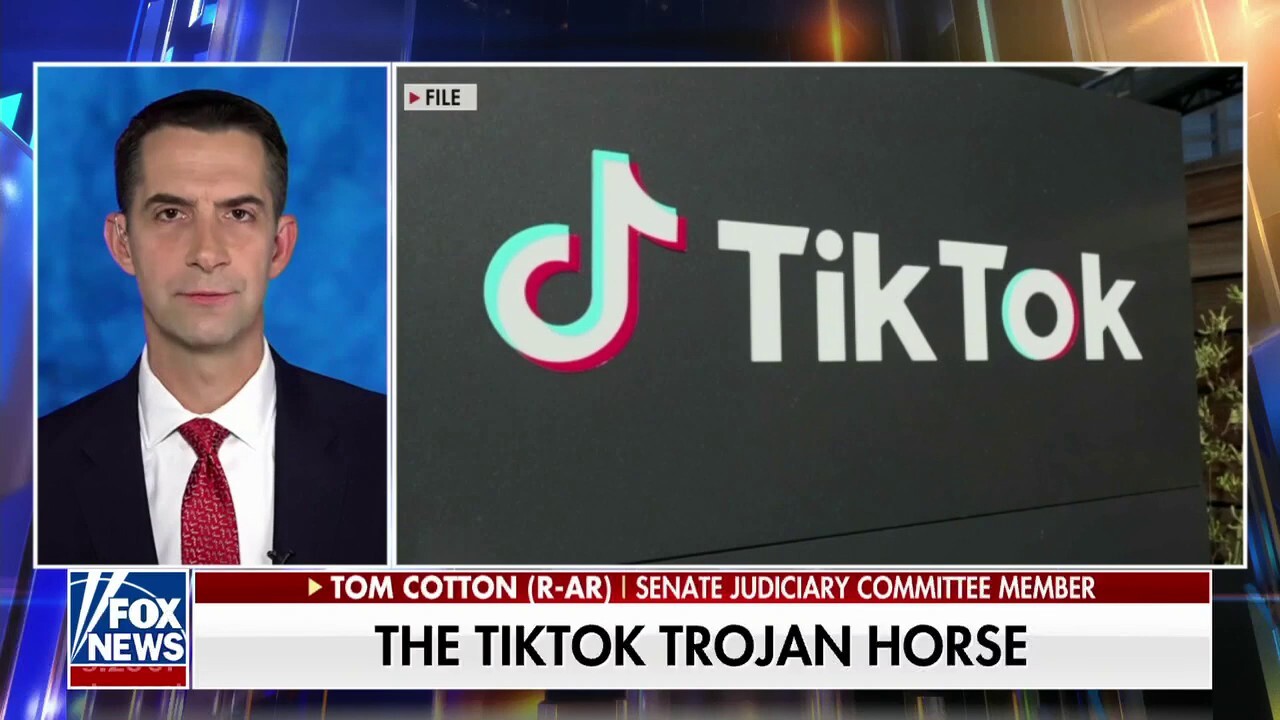  Sen Tom Cotton: Delete TikTok right now and get a new phone