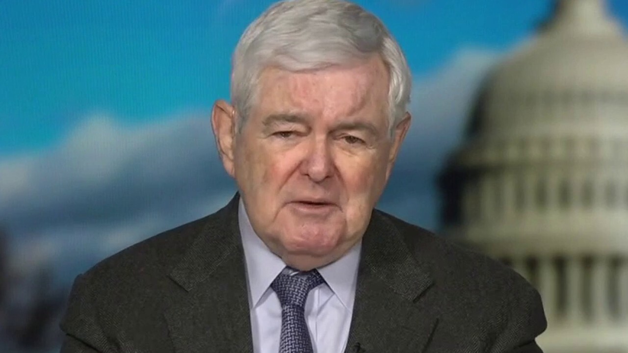 Newt Gingrich trashes Trump impeachment defense team: 'No idea' what they were doing