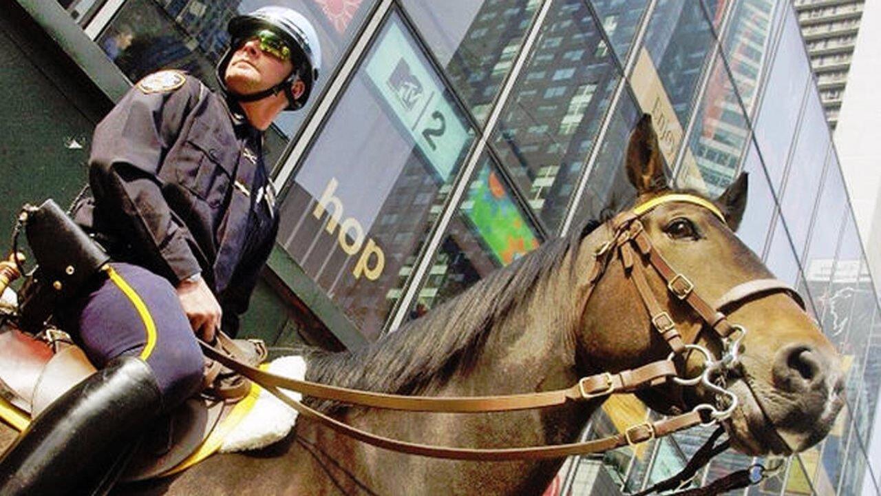 NYPD horses play vital role when protecting the public