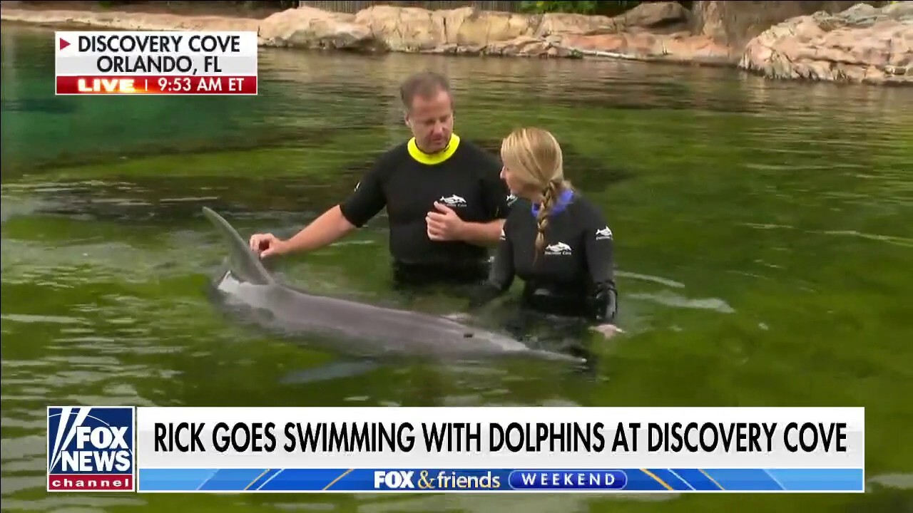 Rick Reichmuth takes a dive with the dolphins at Discovery Cove