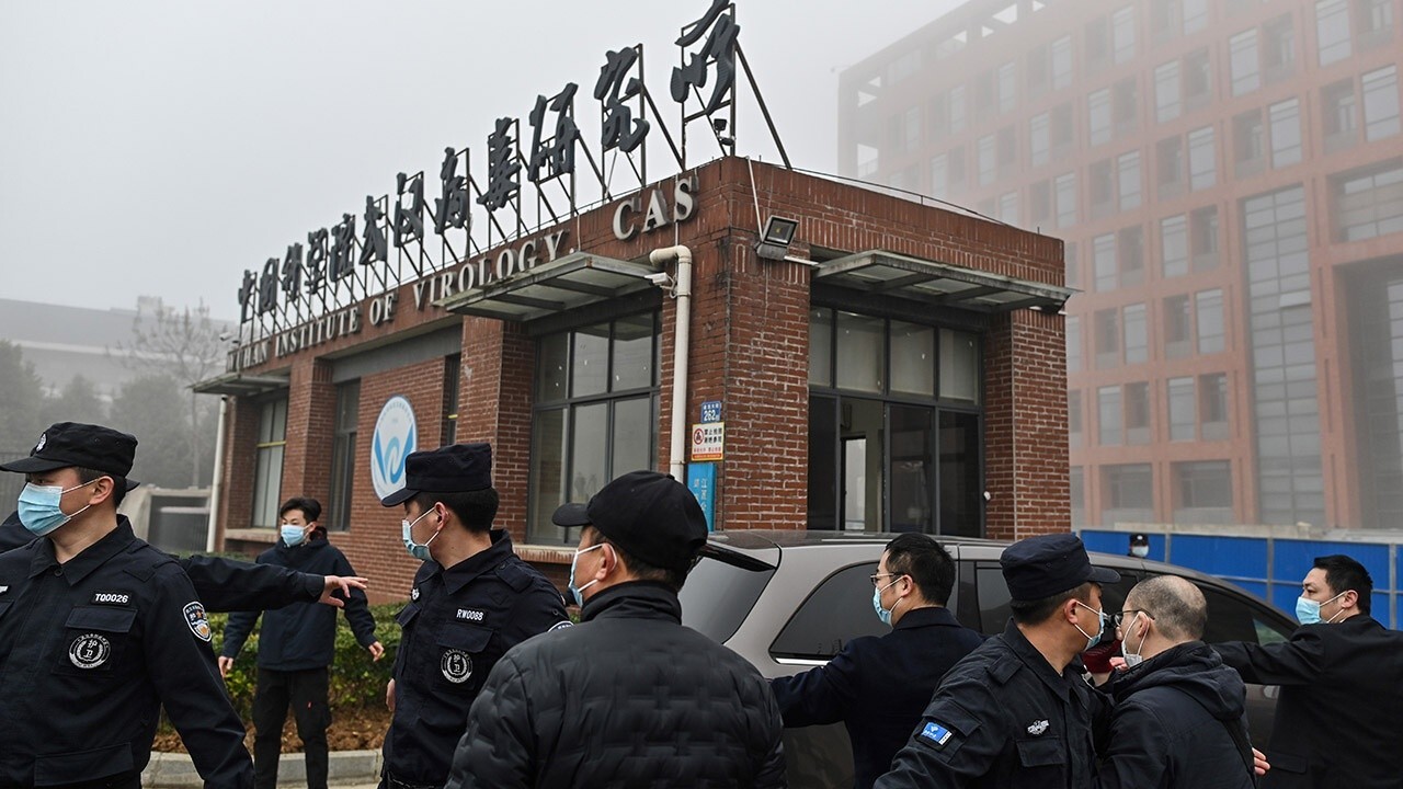 COVID escaping from Wuhan lab is 'most likely' scenario: WHO advisory committee member