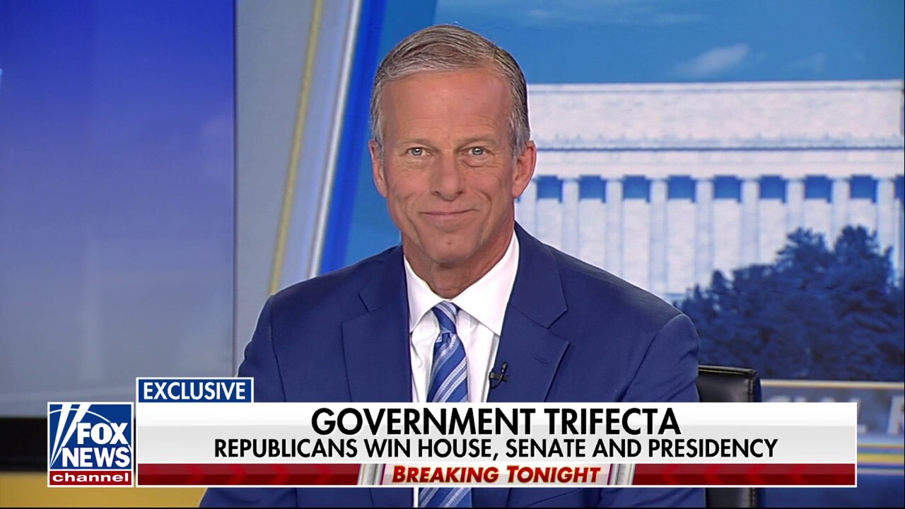 Senate Majority Leader-elect John Thune, R-S.D., discusses his election and the process to confirm several of President-elect Trump's Cabinet picks on 'Special Report.'