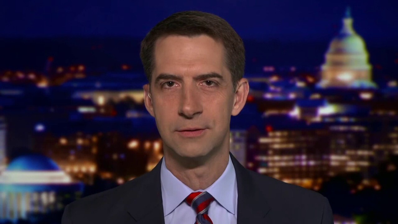 Sen. Cotton says current infrastructure bill will turn US into a 'socialist nation'