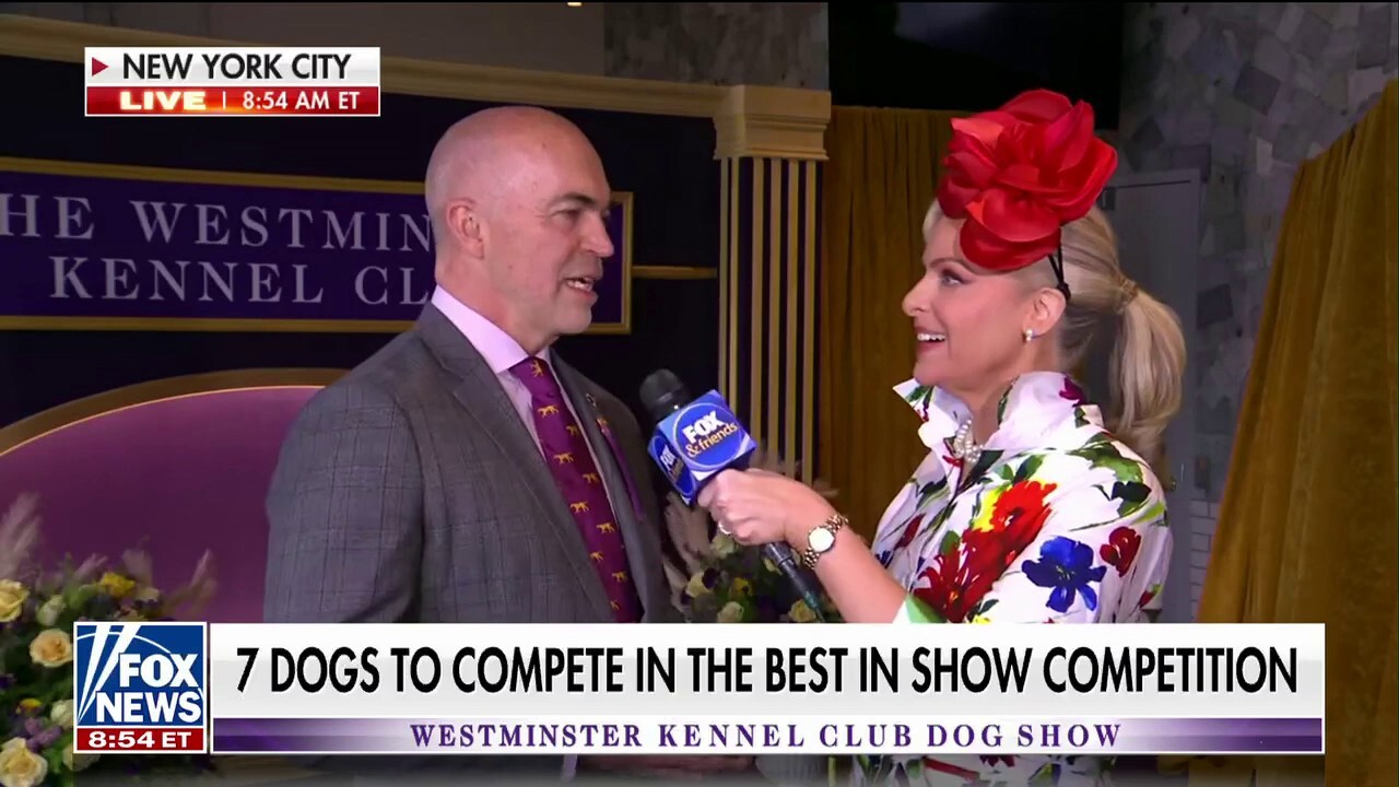 Seven dogs to compete in Westminster Best in Show competition