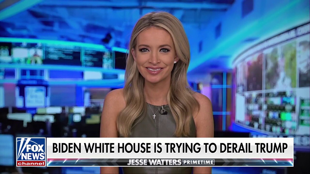 Do not underestimate Biden's 'deep state minions,' Kayleigh McEnany warns